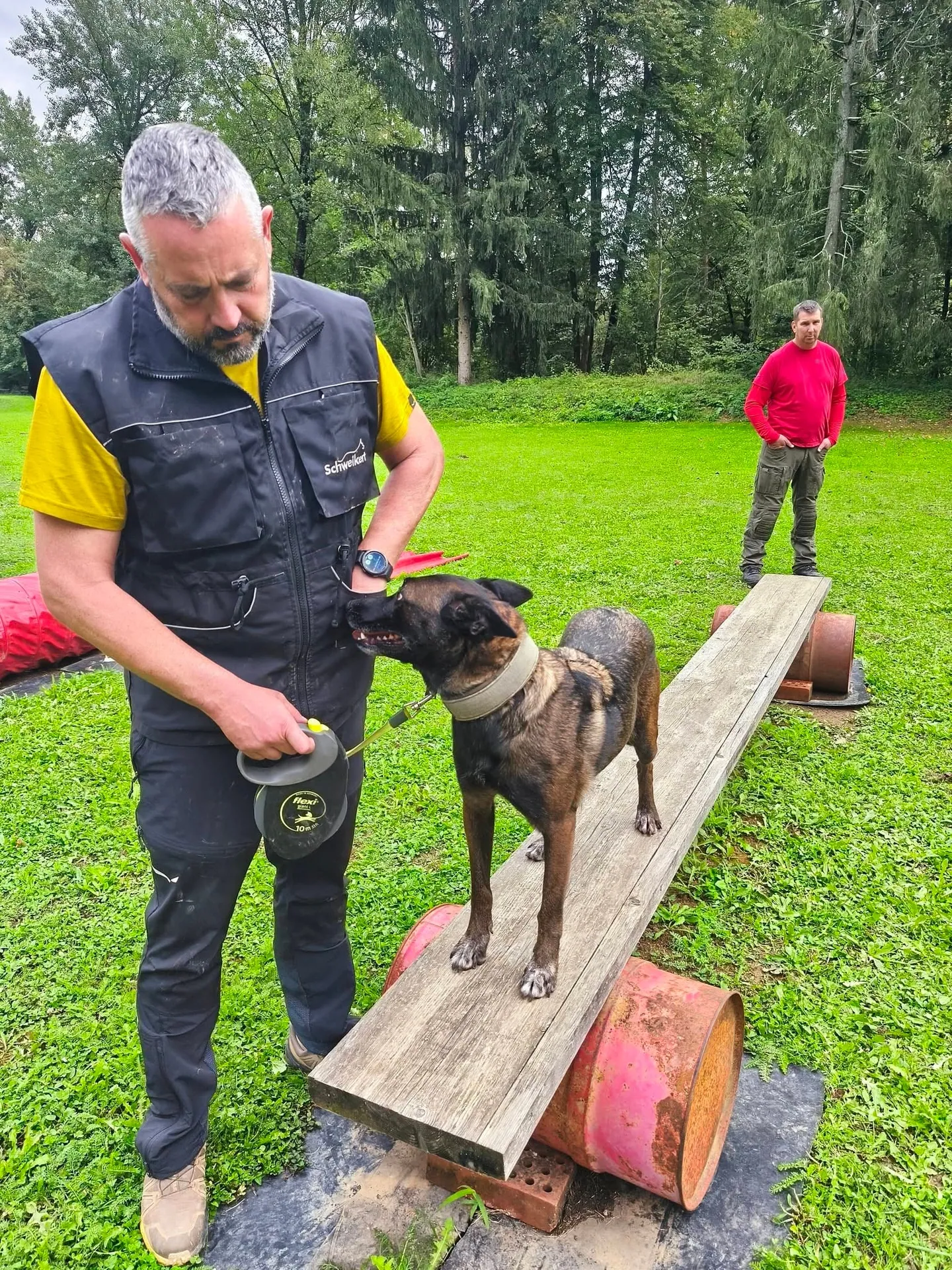Pes na gugalnici dobi nagrado.