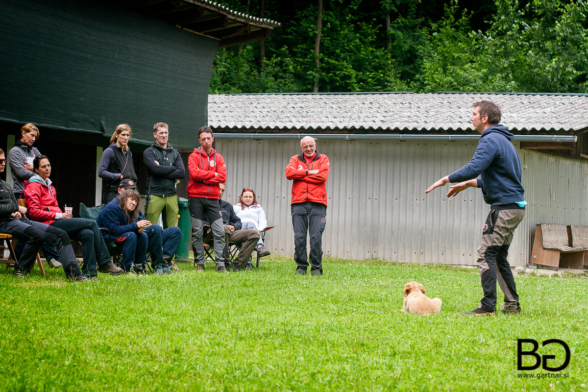 Seminar: Osnove dela reševalnega psa